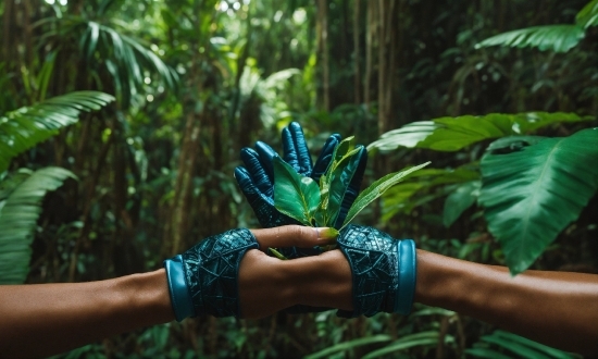 Hand, Plant, Leaf, People In Nature, Terrestrial Plant, Grass