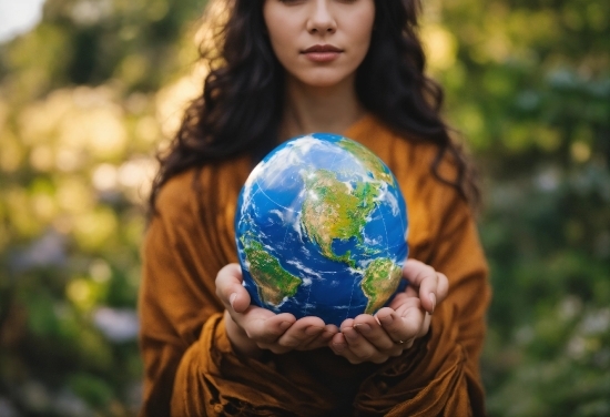 Hand, Plant, People In Nature, Botany, Natural Environment, Sunlight