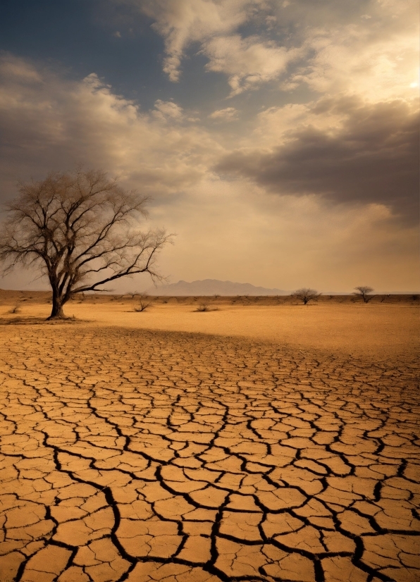 Sky, Cloud, Ecoregion, Plant, Natural Landscape, Dry Lake