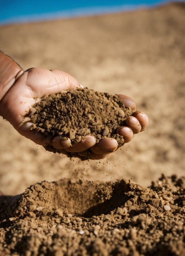 Wood, Soil, Nail, Sand, Landscape, Rock