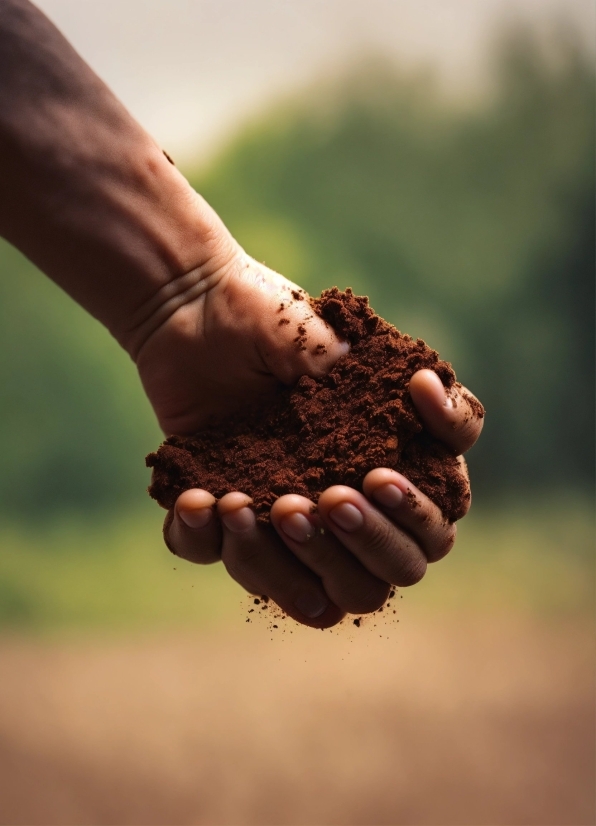 Gesture, Wood, People In Nature, Thumb, Ingredient, Grass