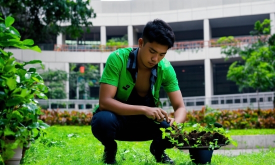 Plant, Shorts, Green, People In Nature, Tire, Grass