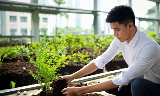 Plant, Sleeve, Grass, Gesture, People In Nature, Groundcover