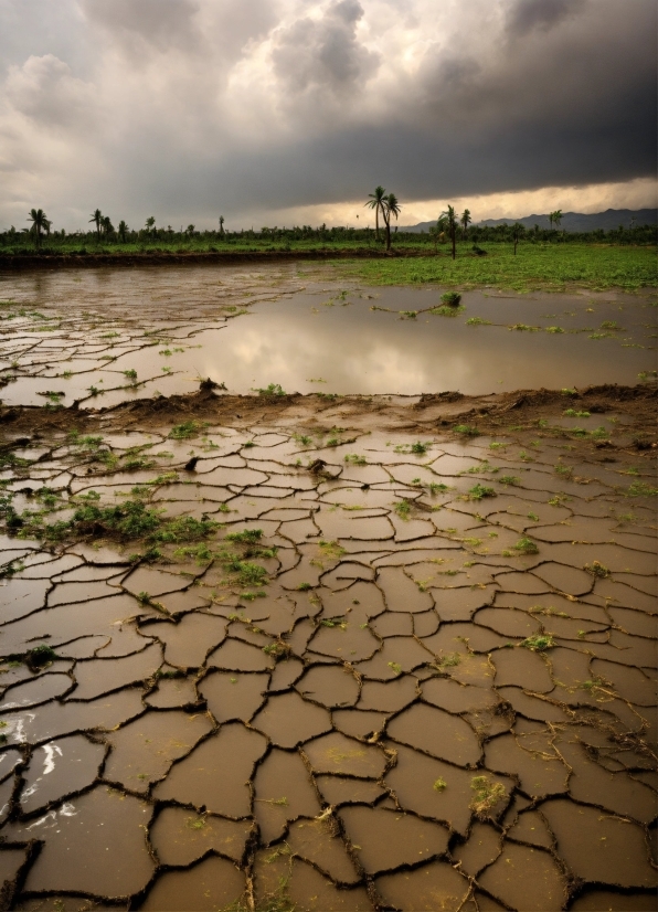 Cloud, Sky, Water, Water Resources, Plant, Ecoregion