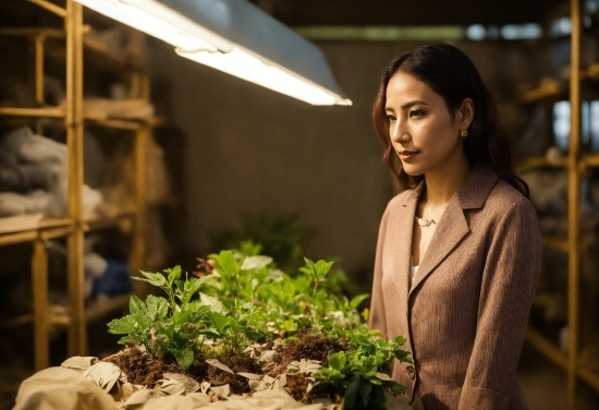 Plant, Flash Photography, Blazer, Leaf Vegetable, Formal Wear, Grass