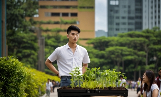 Plant, Leaf, Building, Grass, Tree, Leisure