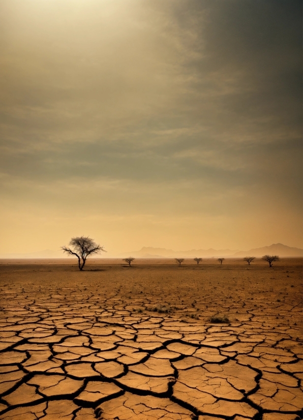 Cloud, Sky, Ecoregion, Natural Landscape, Wood, Dry Lake