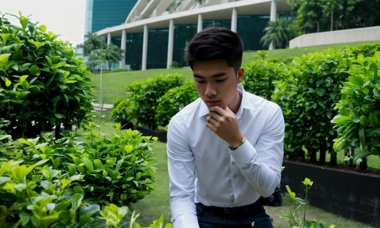 Plant, Dress Shirt, Building, Sleeve, Collar, Grass