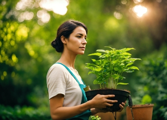 Plant, People In Nature, Natural Environment, Flash Photography, Botany, Yellow