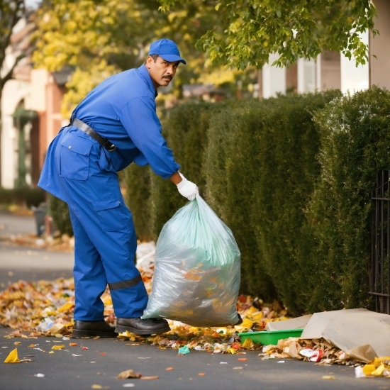 Plant, Plastic Bag, Tree, Asphalt, Workwear, Grass