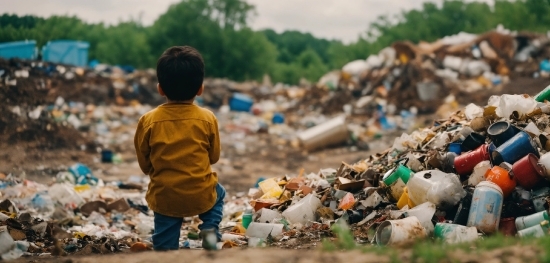 Sky, Pollution, Tree, Adaptation, Waste, Travel