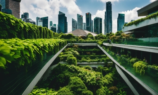 Building, Cloud, Skyscraper, Sky, Plant, World