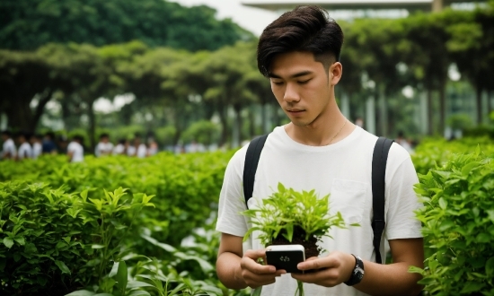 Plant, Hand, Green, People In Nature, Grass, Groundcover