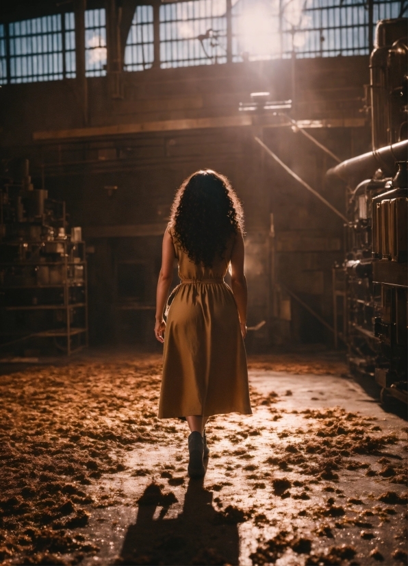 Flash Photography, Wood, Standing, Window, Sunlight, Flooring