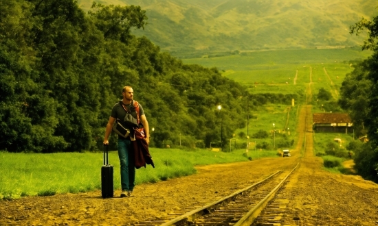 Plant, People In Nature, Nature, Tree, Natural Landscape, Road Surface