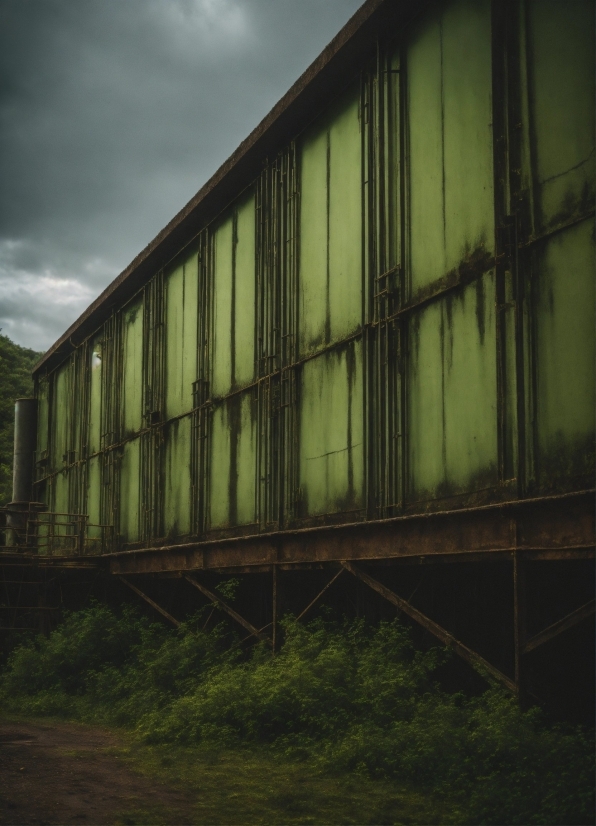 Cloud, Sky, Wood, Building, Plant, Grass