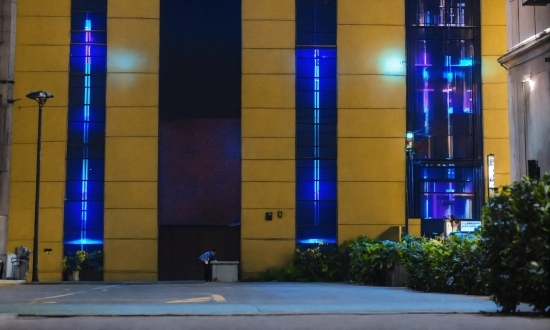 Plant, Building, Purple, Condominium, Commercial Building, Tower Block