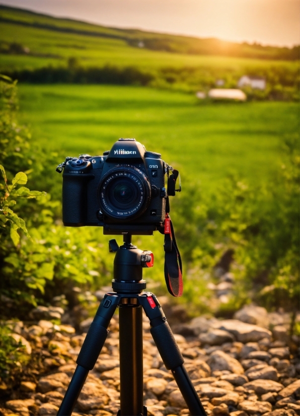 Sky, Plant, Tripod, Reflex Camera, Camera Lens, Digital Camera