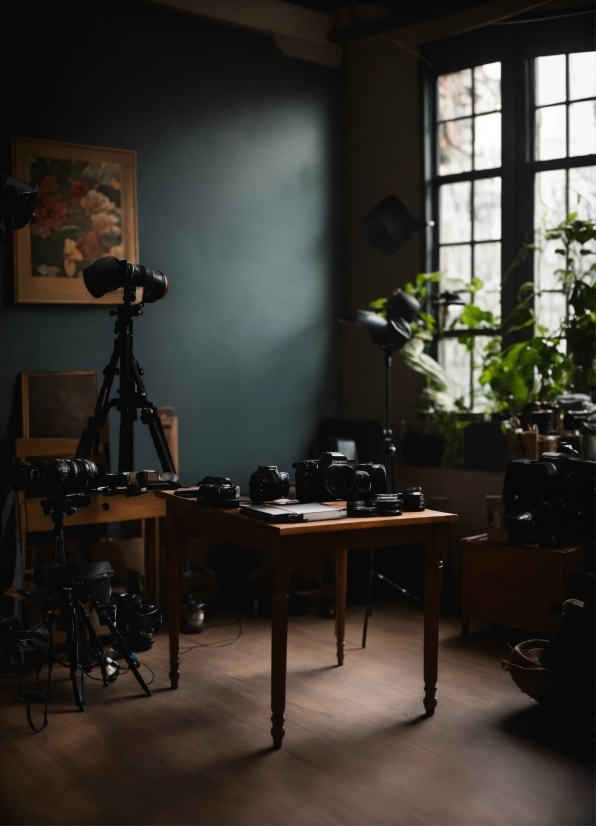 Plant, Window, Table, Wood, Architecture, Interior Design