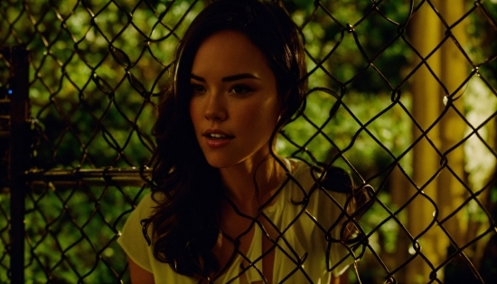 Face, Lip, Facial Expression, Smile, Fence, Flash Photography