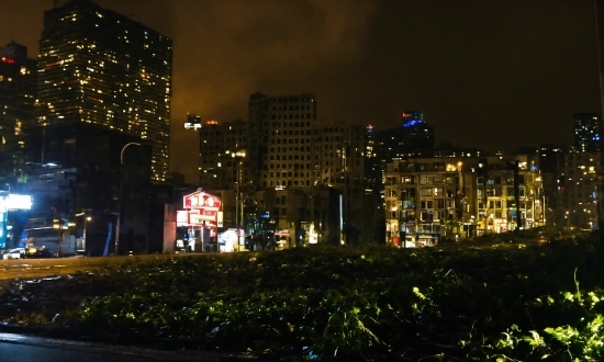 Plant, Building, Skyscraper, Tower Block, Sky, Electricity