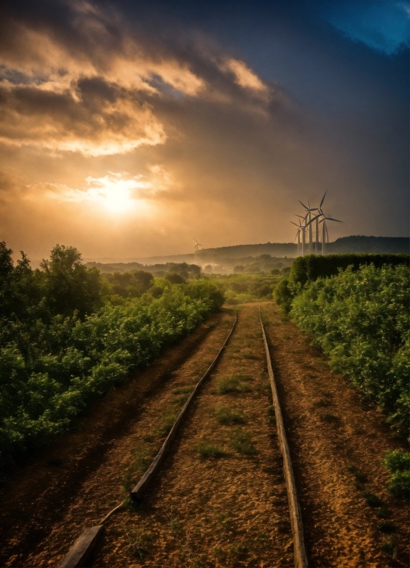 Cloud, Sky, Atmosphere, Plant, Windmill, Afterglow