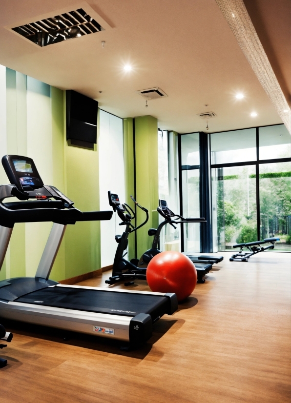 Property, Exercise Machine, Building, Plant, Exercise Equipment, Window