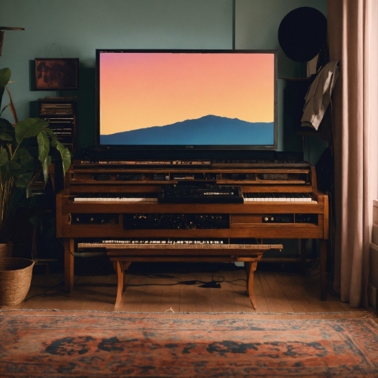 Furniture, Couch, Flowerpot, Plant, Entertainment Center, Wood