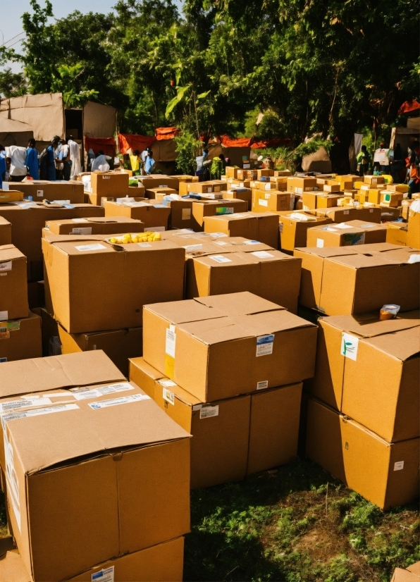 Shipping Box, Wood, Orange, Tree, Plant, Packaging And Labeling