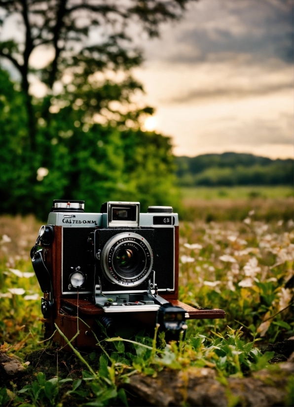 Cloud, Plant, Sky, Water, Digital Camera, Reflex Camera