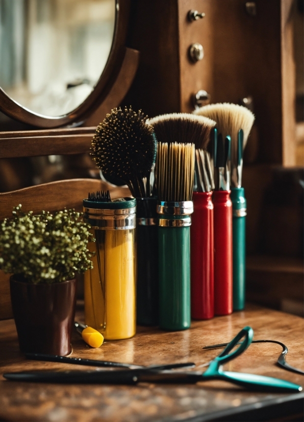 Plant, Brush, Flowerpot, Razor, Mirror, Lighting