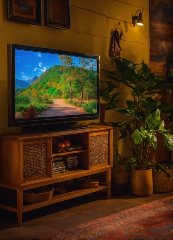 Plant, Green, Lighting, Houseplant, Wood, Building