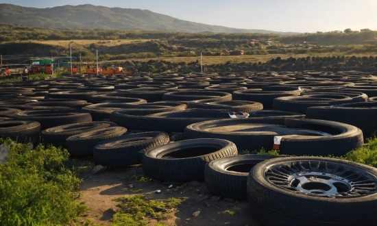 Tire, Plant, Automotive Tire, Sky, Wheel, Tread