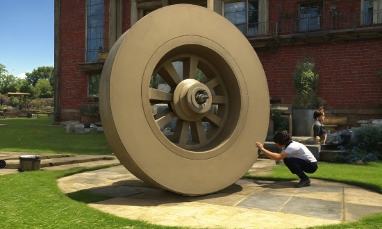 Tire, Plant, Wheel, Automotive Tire, Green, Tread