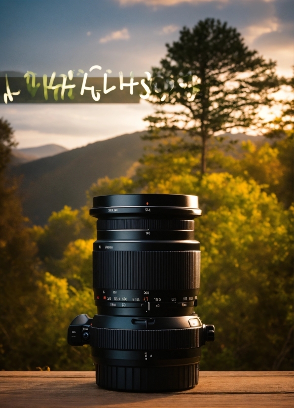 Sky, Cloud, Plant, Nature, Camera Lens, Reflex Camera