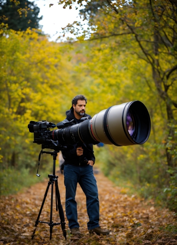 Plant, Photographer, People In Nature, Camera Lens, Tree, Cameras & Optics