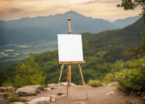 Cloud, Sky, Mountain, Easel, Plant, Ecoregion