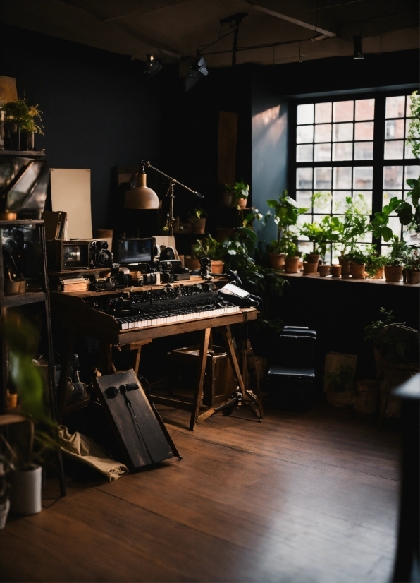 Plant, Window, Musical Keyboard, Interior Design, Keyboard, Wood