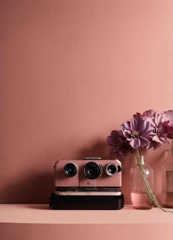 Plant, Purple, Table, Vase, Flowerpot, Flower