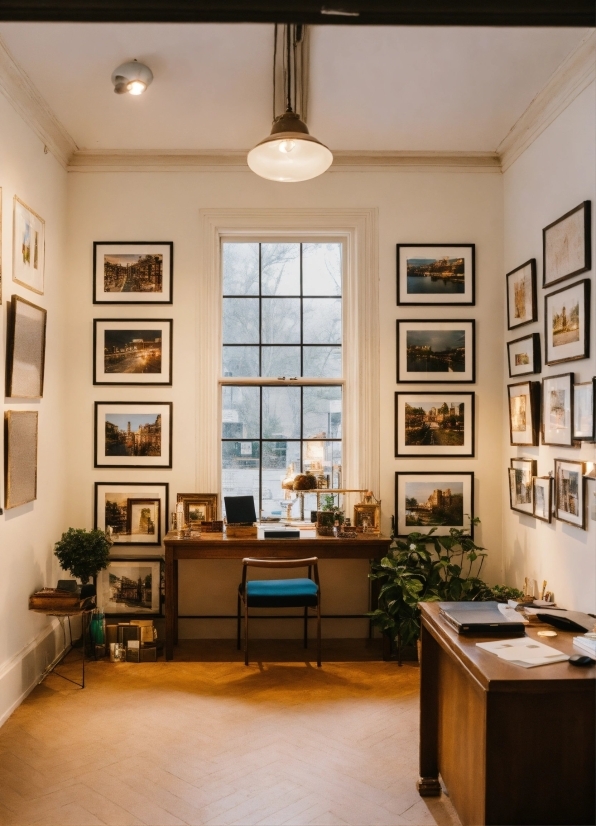 Picture Frame, Table, Plant, Furniture, Property, Window