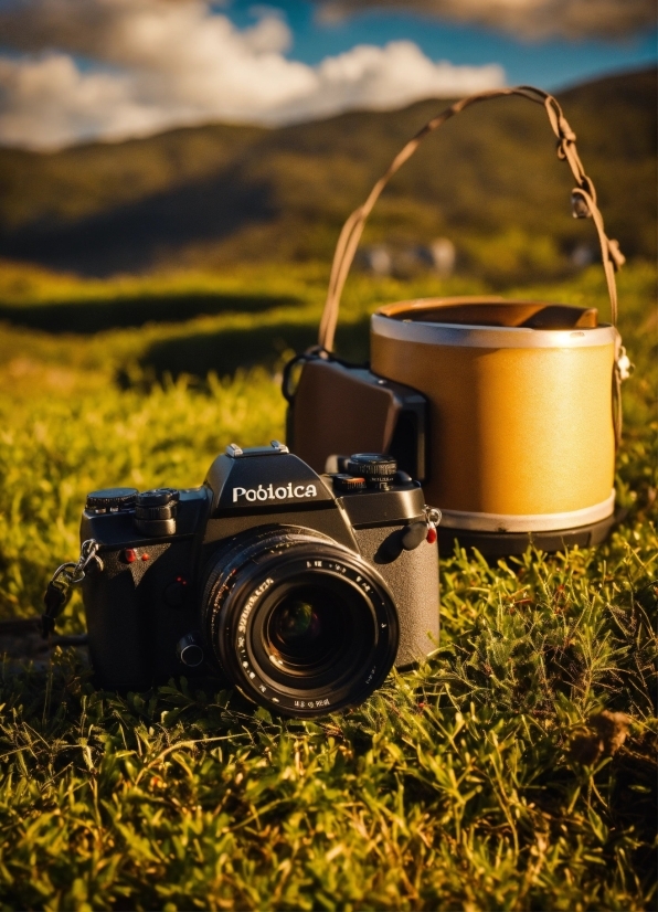 Plant, Cloud, Sky, Reflex Camera, Camera Lens, Digital Camera