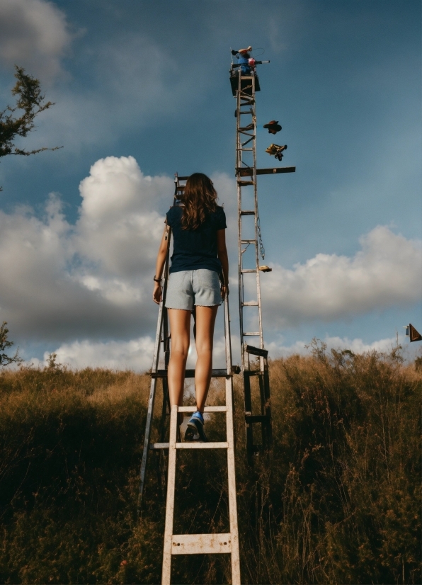 Cloud, Sky, Plant, Flash Photography, Standing, Ladder