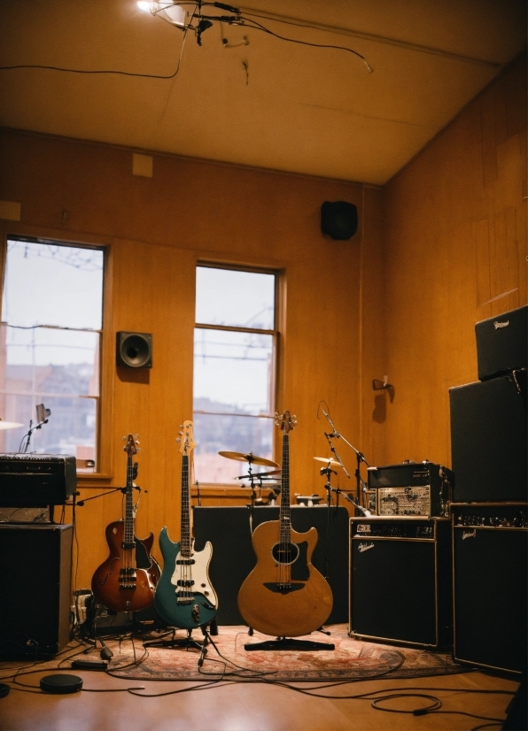 Musical Instrument, Guitar, Window, Light, Microphone, String Instrument