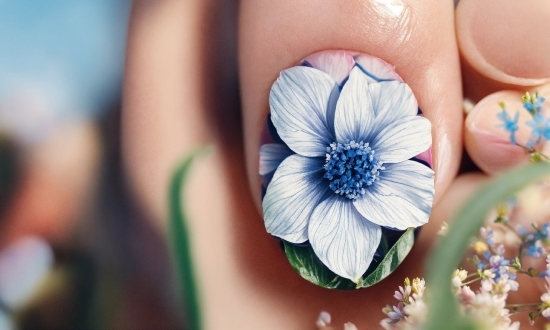 Flower, Plant, Petal, Flowering Plant, Nail, Electric Blue