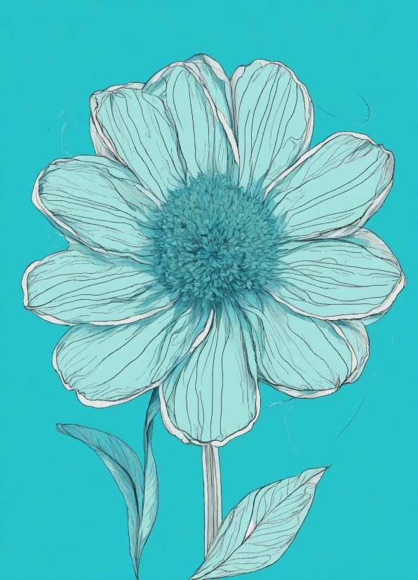 Flower, Plant, Petal, Creative Arts, Art, Aqua