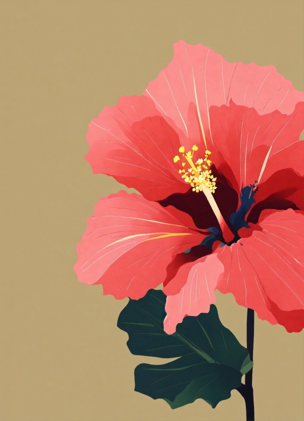 Flower, Plant, Petal, Hawaiian Hibiscus, Chinese Hibiscus, Flowering Plant