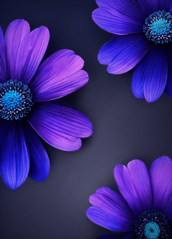 Flower, Blue, Purple, Plant, Light, Petal