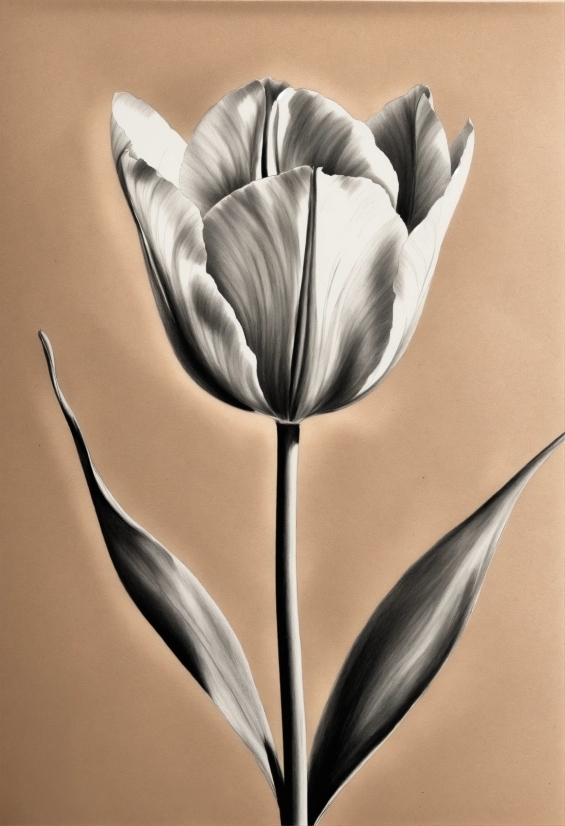 Flower, Plant, Petal, Art, Painting, Flowering Plant