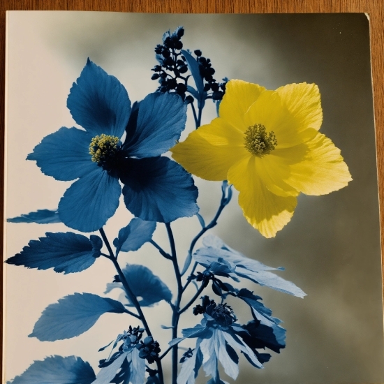 Flower, Plant, Petal, Hawaiian Hibiscus, Paint, Twig