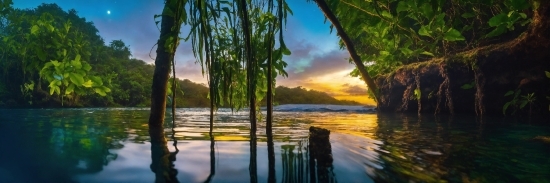 Water, Sky, Cloud, Plant, Ecoregion, Tree